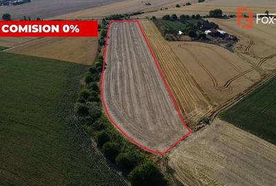 COMISION 0% Teren intravilan de 20.000 mp, front de 52 ml, zona Sag COMISION 0% Teren intravilan de 20.000 mp, front de 52 ml, zona Sag - 6