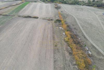 Teren Construcții intravilan de 11600 mp, în Remetea Mare - 4