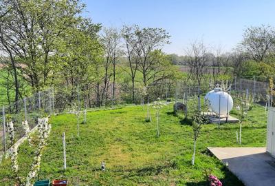 Casă individuală cu 2 camere cu Teren 795 Mp în Buturugeni - 4