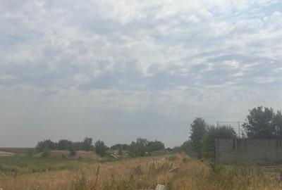 Teren extravilan 5000 mp, zona Pielesti Teren extravilan 5000 mp, zona Pielesti - 2