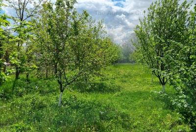 Casă individuală cu 5 camere decomandat cu Canalizare în Corbeanca - 16