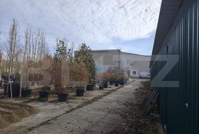 Teren intravilan in Oncea - 16