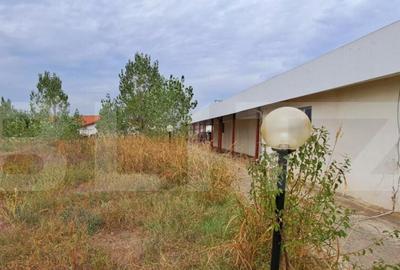 Oportunitate! Teren intravilan 20000 mp si spatiu industrial - 20