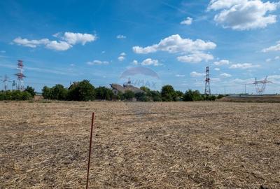 Teren Construcții intravilan de 1000 mp, în Sud - 13