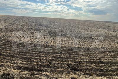 Teren de 3742 mp, în Ghercești