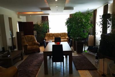 Casă cu 7 camere în Găvana 3