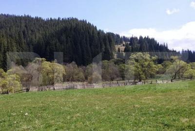 Teren de 1299 mp, în Central