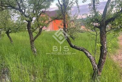 Teren de vanzare - Sigmir - 7