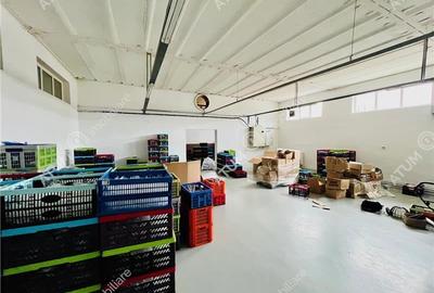 Spatiu industrial cu 2 hale si anexe teren 2543 in Hamba judetul Sibiu - 20