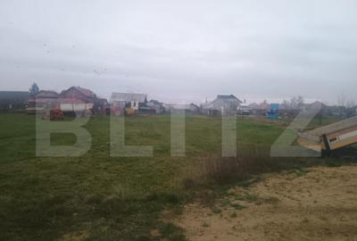 Teren intravilan | 1943 mp | Ciuperceni - 1