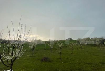 Spațiu comercial, în Pielești - 5