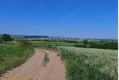 Teren extravilan Bosanci, ID: R2649417 - 3