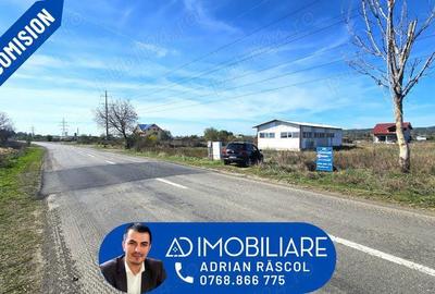 Teren intravilan strada Narciselor - 7