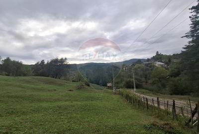 Teren de 4000 mp, în Moroeni - 11