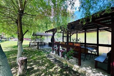 Pensiune + Vila pe malul raului Lotru-Malaia,Valcea - 30