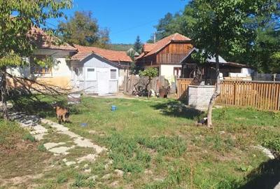 Casă cu 5 camere în Bogdănești - 2
