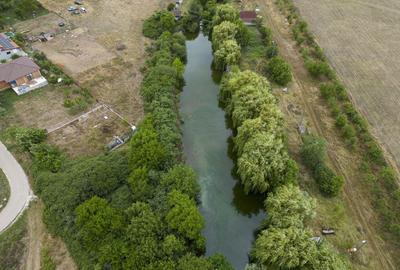 Teren de 7900 mp cu balta de pescuit in Frumu?eni - 6