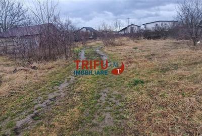 Teren de 2200 mp, în Cetate - 4