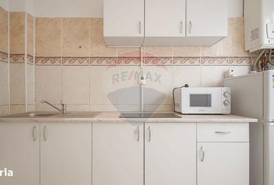 Apartament cu 2 camere, mobilat în Centrul Istoric - 12
