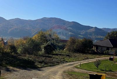 Casă individuală cu 5 camere cu Teren 2700 Mp în Alexandru cel Bun - 15