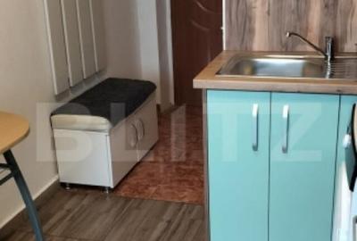 Garsoniera de vanzare, 13 mp, zona Careiului - 4