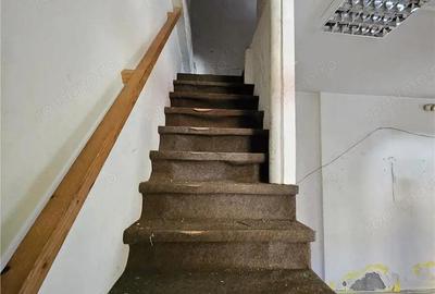 Doua case vecine, cu vad, in Bucure #537;ti, Tineretului, Parcul Carol - 10