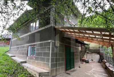 Casa 100 mp utili 4 camere 1,6 ha teren aproape de Trans Apu