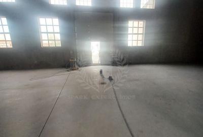 Spațiu comercial, de 962 mp, în Bereasca - 13