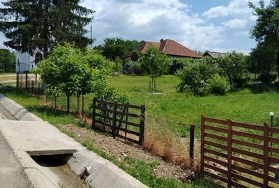 Teren de 3000 mp, în Racovița - 5