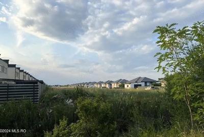 Corbeanca - Tamasi, intravilan, 16562 mp, deschidere 93 m, rezidential - 11