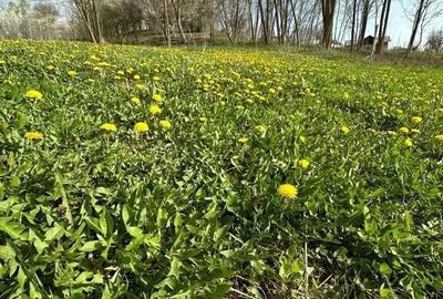 Spațiu comercial, în Sultanu - 4