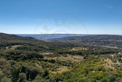 Terenuri 12.225 mp - Ramnicu Valcea, Aranghel - 14