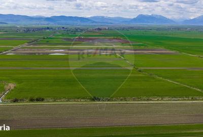 Spațiu comercial, în Lunca Mărcușului - 9