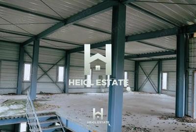 Casă cu Teren 6802 Mp în Albina - 3