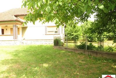 Casă cu 4 camere cu Teren 43000 Mp în Livada - 12