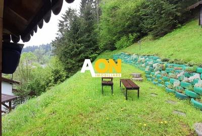 Pensiune superba in Muntii Apuseni, 2740 mp teren. COMISION ZERO! - 6
