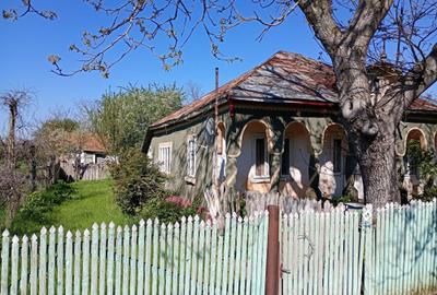 Casă cu 4 camere cu Teren 1500 Mp în Scorțaru Nou - 1
