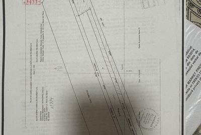 Teren de 5997 mp, în Șerbănești - 1