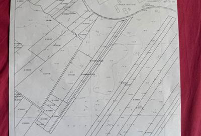 Teren de 24750 mp, în Berceni - 6