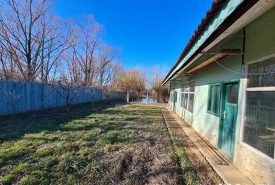 Casă cu 5 camere cu Teren 10000 Mp în Bumbești-Pițic - 3