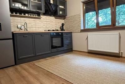 Duplex cu 4 camere - zona parcului Terra - 15