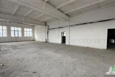 Hala productie/depozitare 3130 mp in zona Pallady/Industriilor - 5