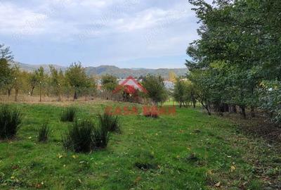 Teren intravilan in Breaza-- 2017 mp--50.000e - 8