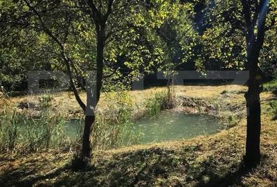 Casa de Vacan?a pe Valea Ighielului 3 camere, 2500 mp curte - 7