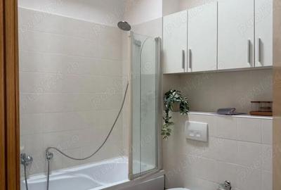 Apartament cu 2 camere decomandat în Dumbrăvița - 4