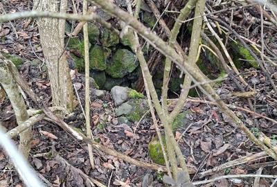 Teren de 3140 mp, în Petriș - 3