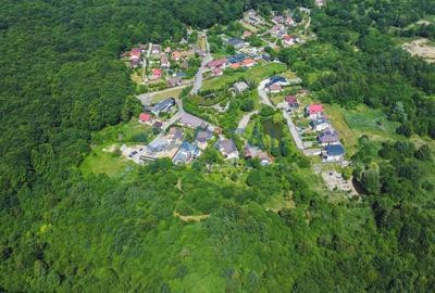 Teren Construcții intravilan de 7200 mp, în Făget