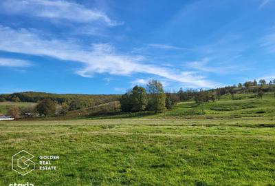 Teren de 2014 mp, în Șiștarovăț - 2