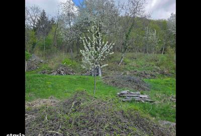 Spațiu comercial, în Săcărâmb - 2