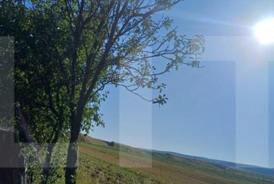 Casa taraneasca cu 3 camere, Turia Jos, - 19